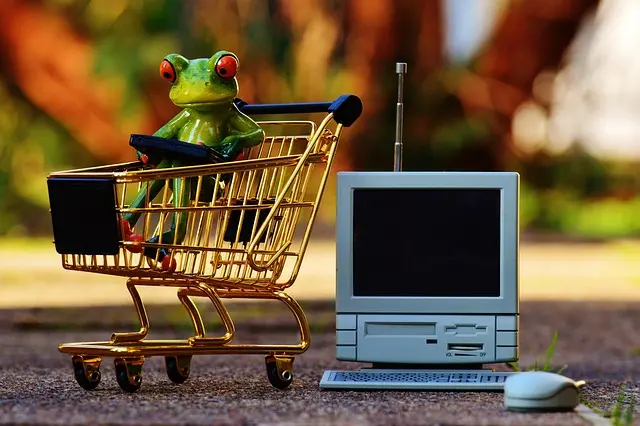 Comment éviter les achats impulsifs en ligne